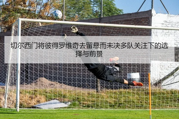 切尔西门将彼得罗维奇去留悬而未决多队关注下的选择与前景