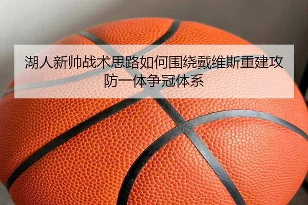 湖人新帅战术思路如何围绕戴维斯重建攻防一体争冠体系