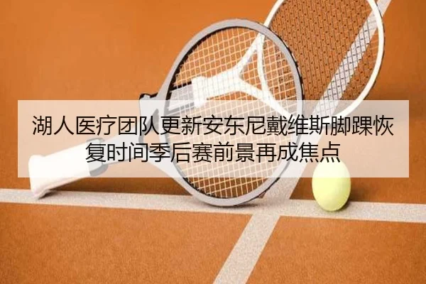 湖人医疗团队更新安东尼戴维斯脚踝恢复时间季后赛前景再成焦点